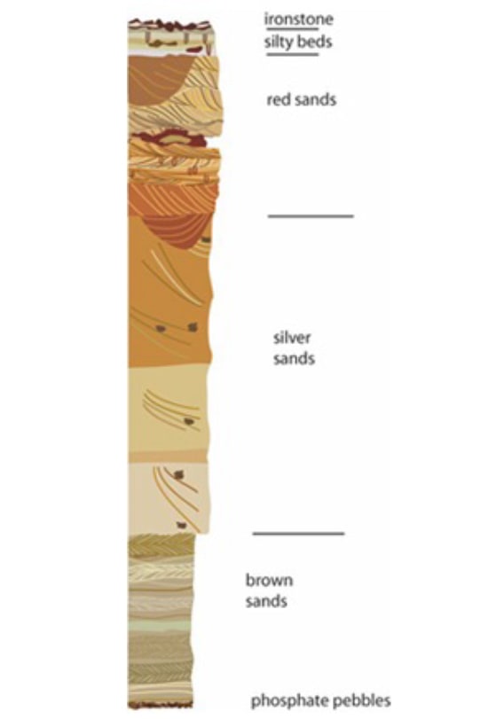 Sand Profile