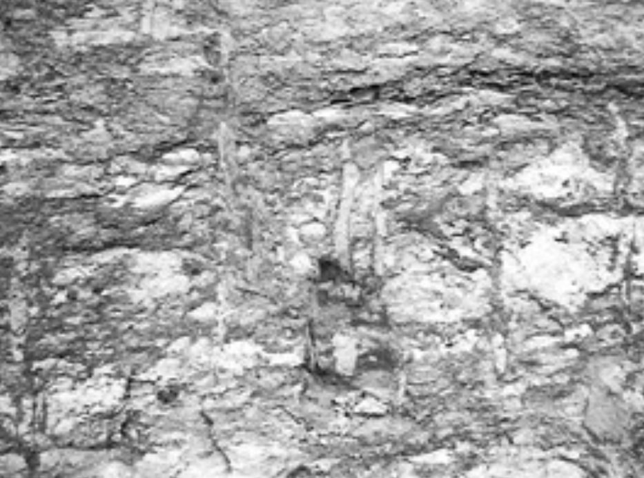 The Beds of Silty Sands