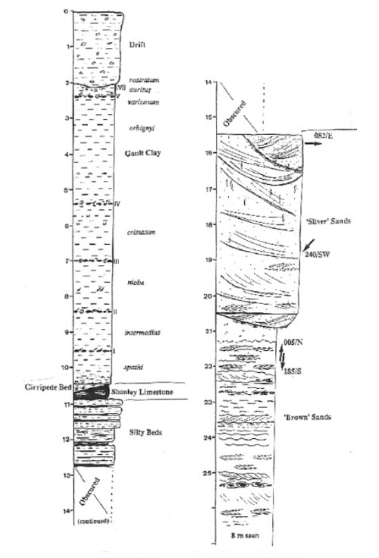 Shenley Limestone profile