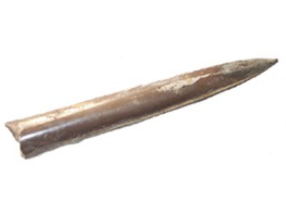 Belemnite