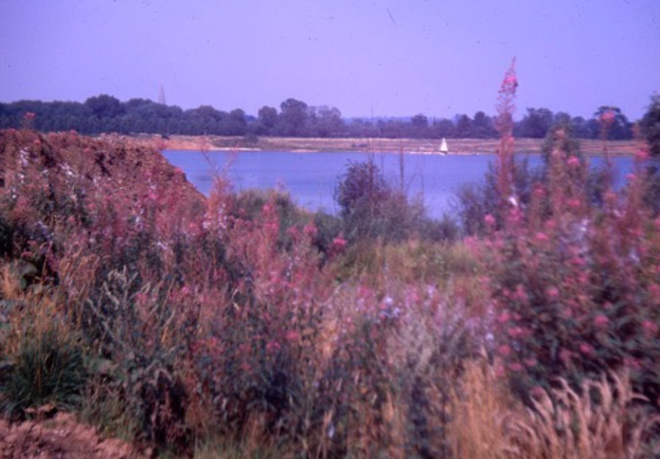 Tiddenfoot Waterside Park
