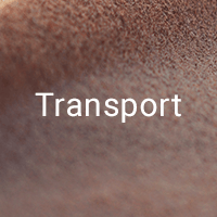 Sand transport
